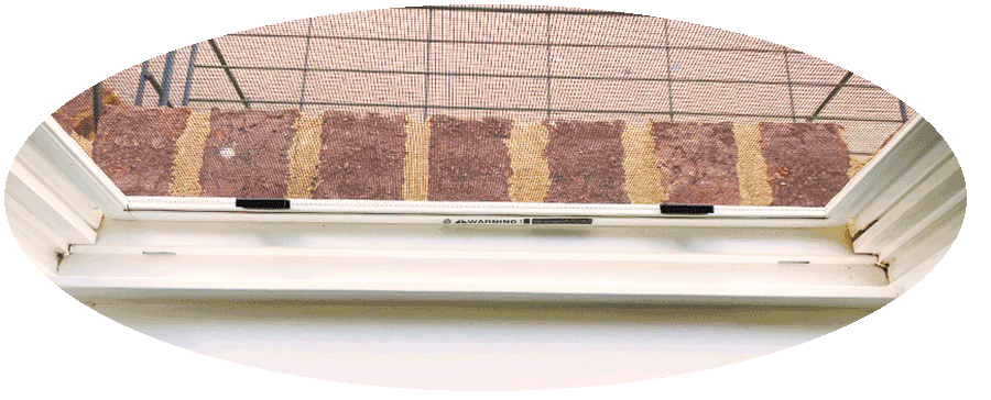 window track cleaning