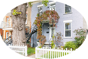 how location affects window cleaning frequency