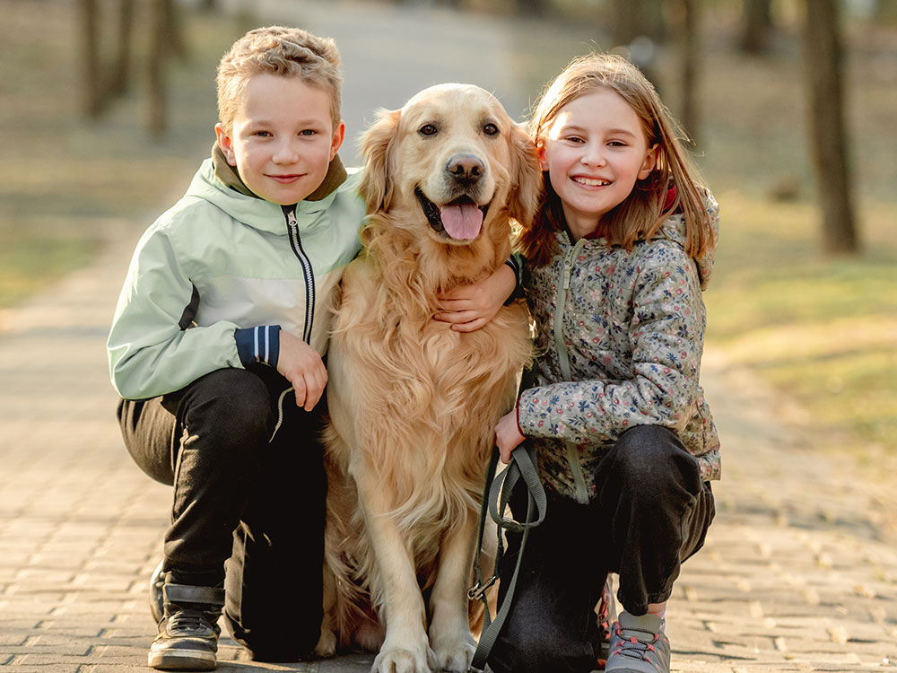 pro window cleaning for nashville homes
